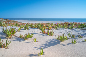 下一站巴黎!奥运明星选手的未来版图大猜想