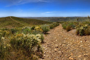 当鲜花与掌声散去,那位老将的独白,让人潸然泪下 当鲜花与掌声散去,那位老将的独白,让人潸然泪下